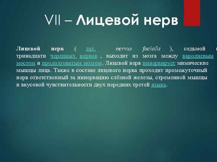    VII – Лицевой нерв  (  лат.  nervus 