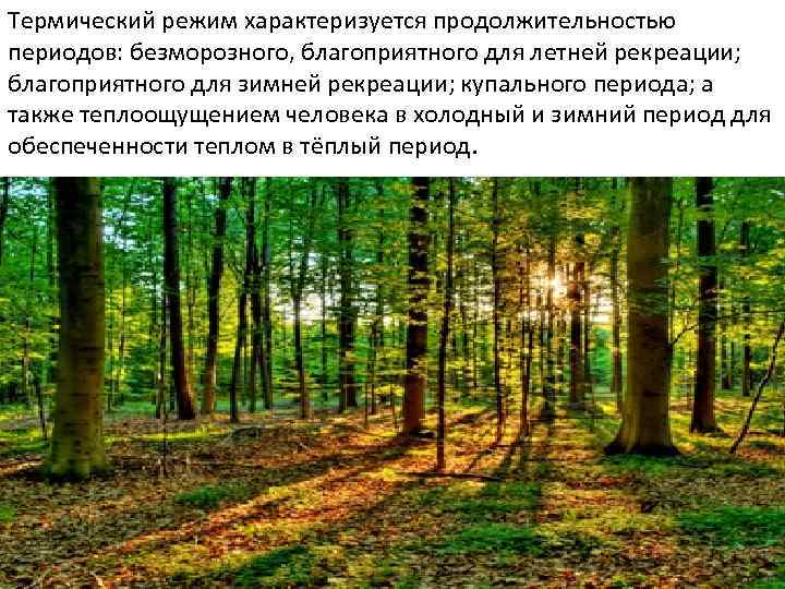 Термический режим характеризуется продолжительностью периодов: безморозного, благоприятного для летней рекреации; благоприятного для зимней рекреации;