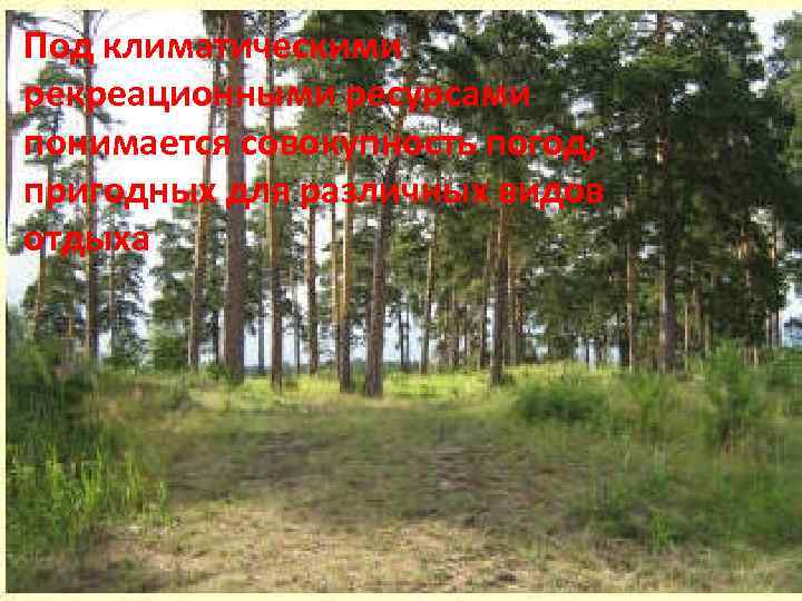 Под климатическими рекреационными ресурсами понимается совокупность погод, пригодных для различных видов отдыха 