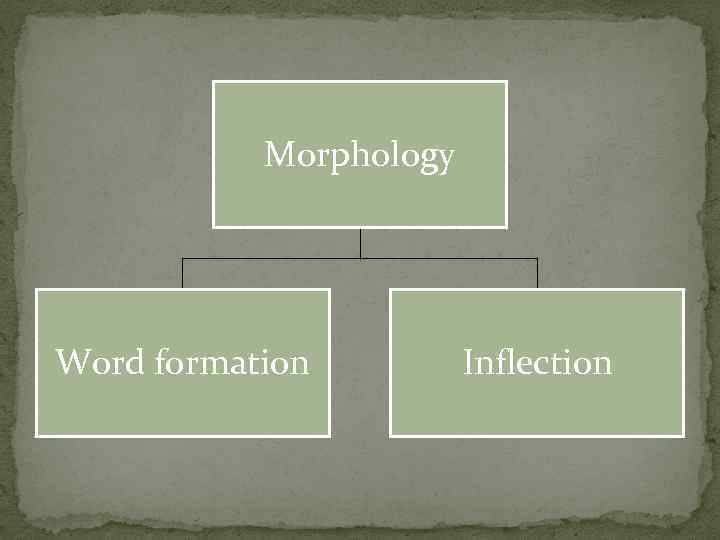   Morphology Word formation   Inflection 