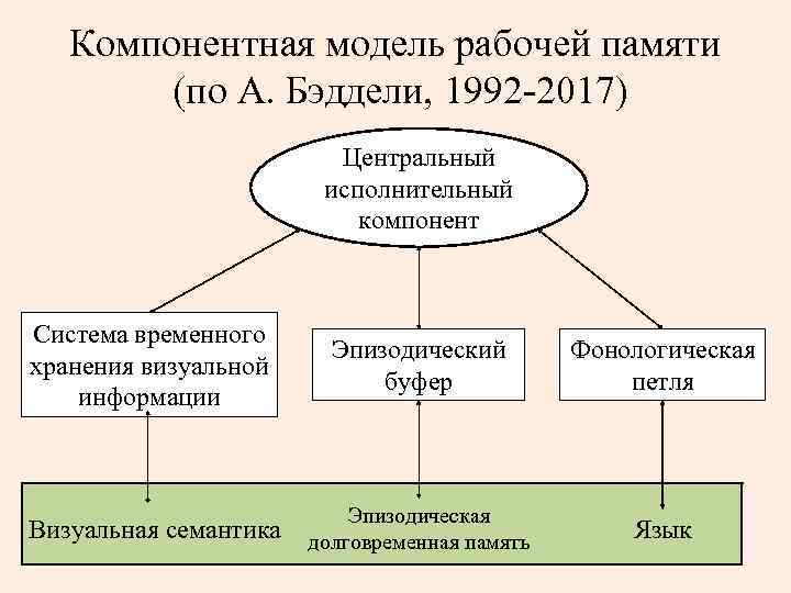   Компонентная модель рабочей памяти   (по А. Бэддели, 1992 -2017) 