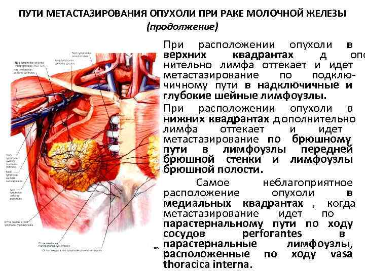 Увеличение грудных желез фото