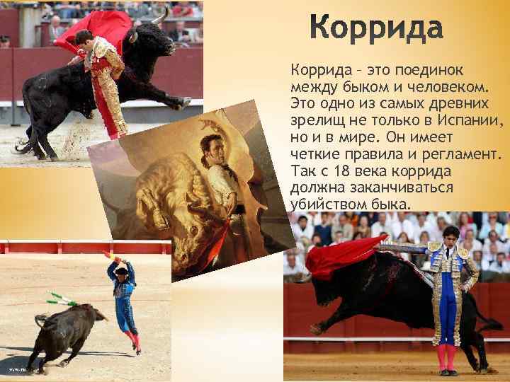 Коррида – это поединок между быком и человеком. Это одно из самых древних зрелищ