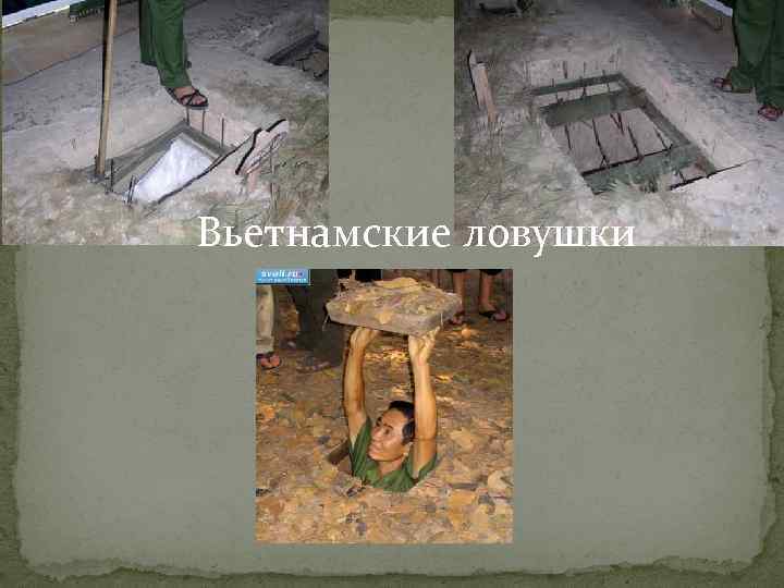 Вьетнамские ловушки Вьетнамские ловушки