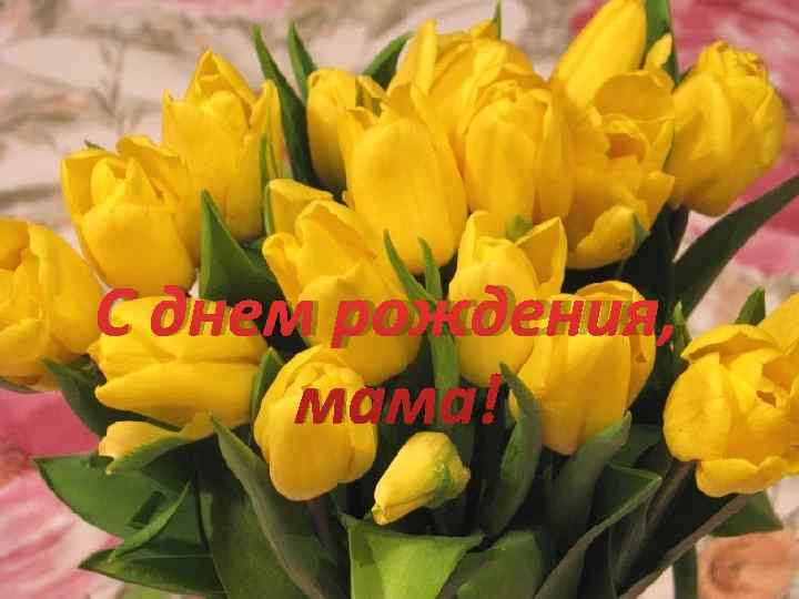 С днем рождения,  мама! 