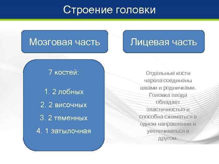   Строение головки Мозговая часть Лицевая часть  7 костей:  Отдельные кости