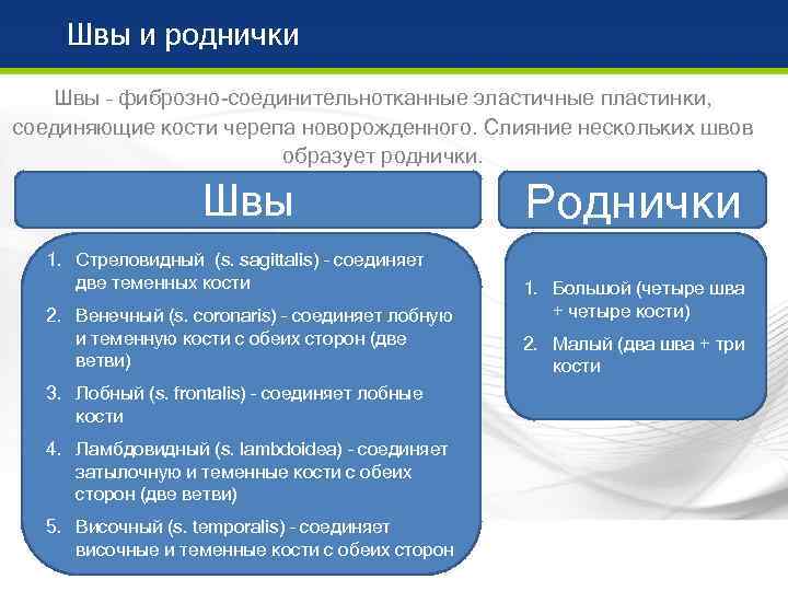   Швы и роднички  Швы – фиброзно соединительнотканные эластичные пластинки, соединяющие кости