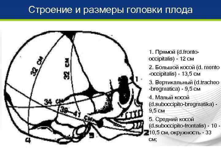 Строение и размеры головки плода      1. Прямой (d. fronto