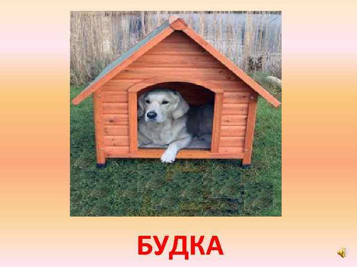 БУДКА 