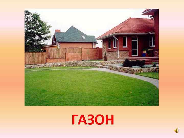 ГАЗОН 