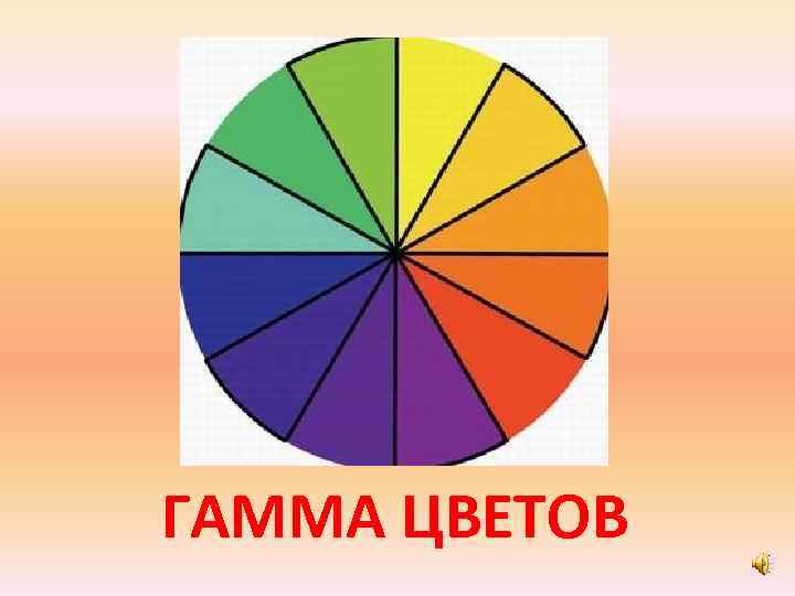 ГАММА ЦВЕТОВ 