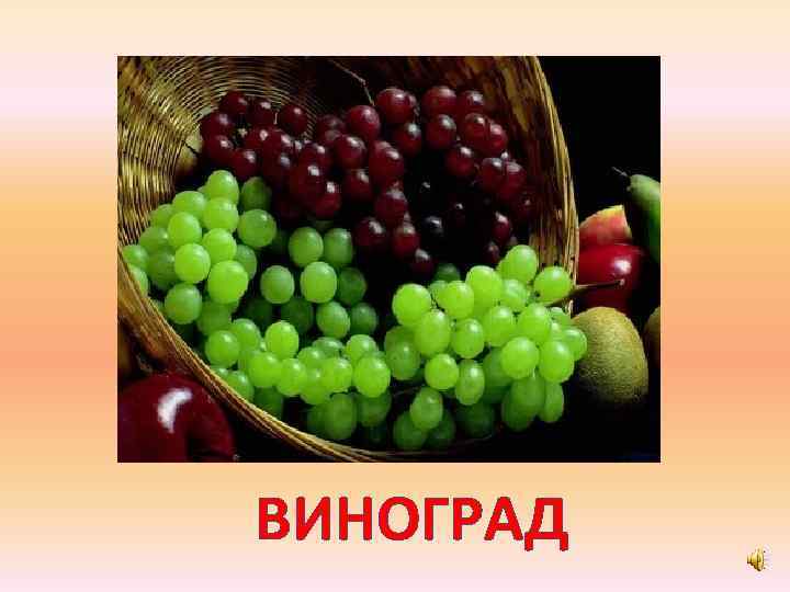 ВИНОГРАД 