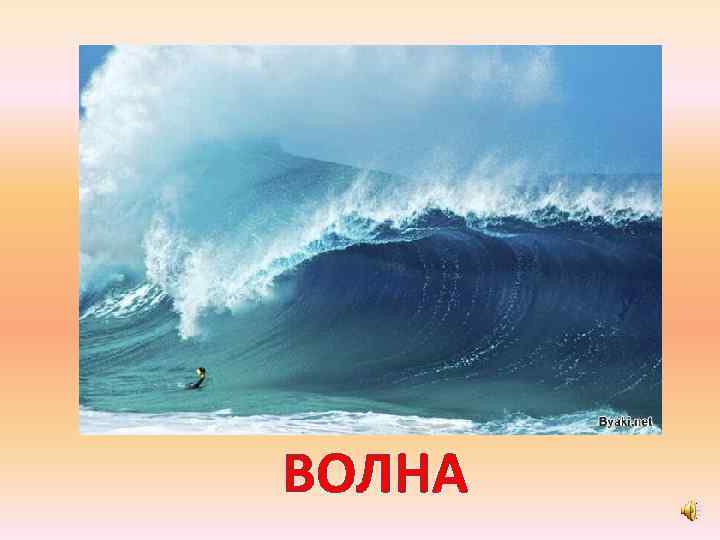 ВОЛНА 