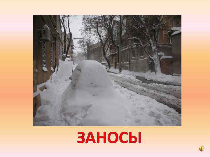 ЗАНОСЫ 