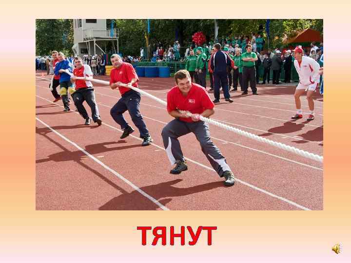 ТЯНУТ 
