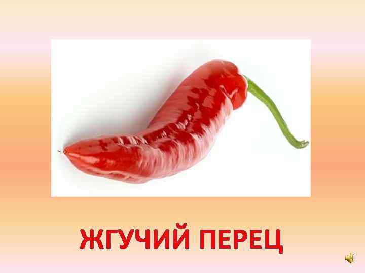 ЖГУЧИЙ ПЕРЕЦ 