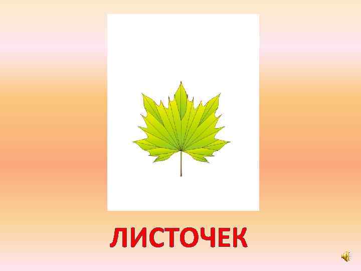 ЛИСТОЧЕК 