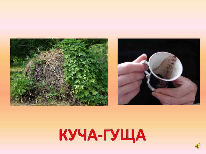 КУЧА-ГУЩА 