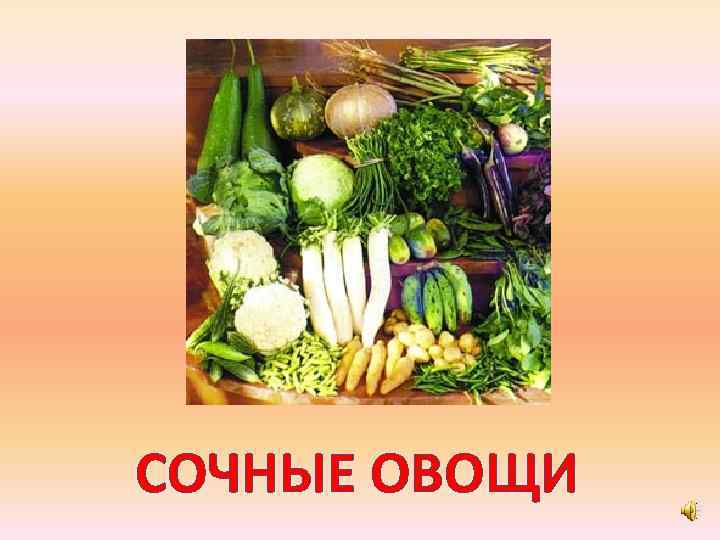 СОЧНЫЕ ОВОЩИ 