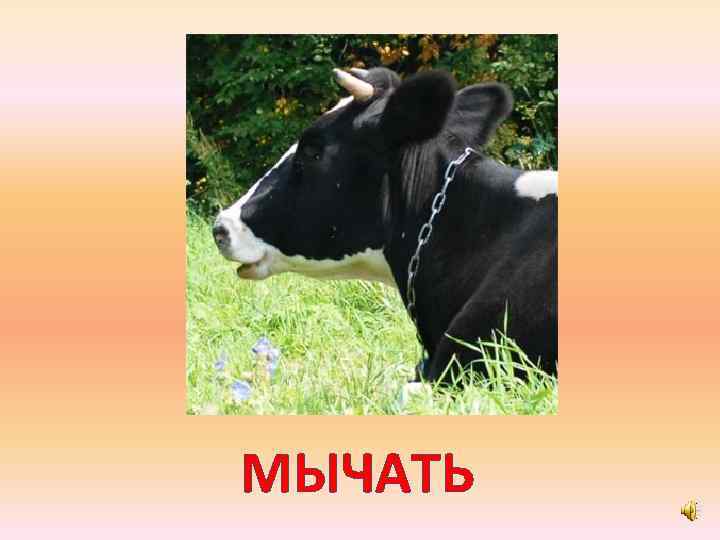 МЫЧАТЬ 