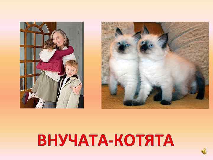 ВНУЧАТА-КОТЯТА 