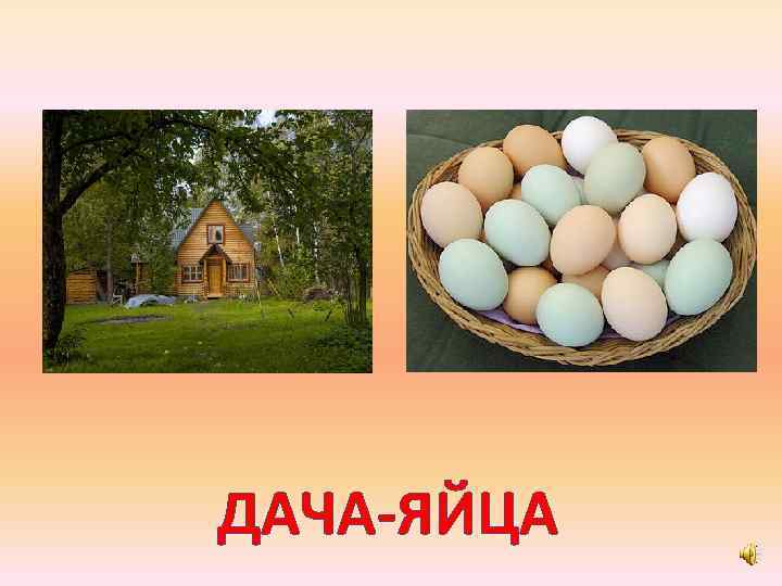 ДАЧА-ЯЙЦА 