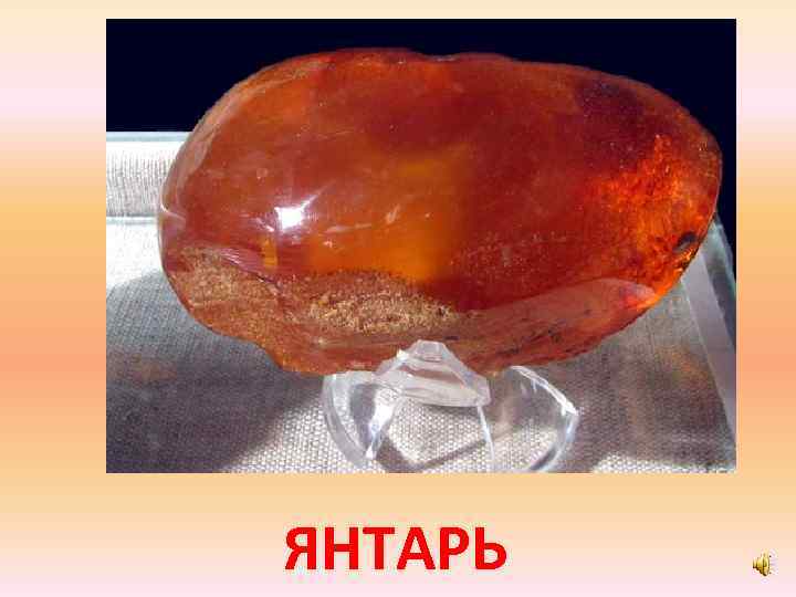 ЯНТАРЬ 