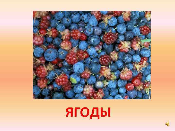 ЯГОДЫ 