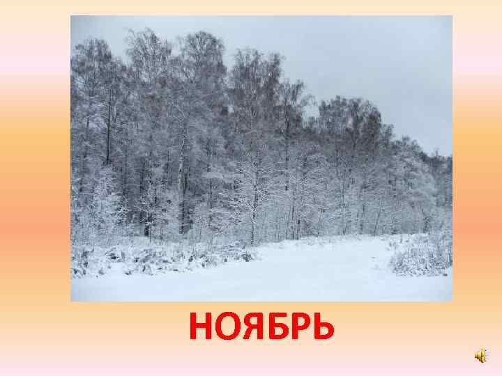 НОЯБРЬ 
