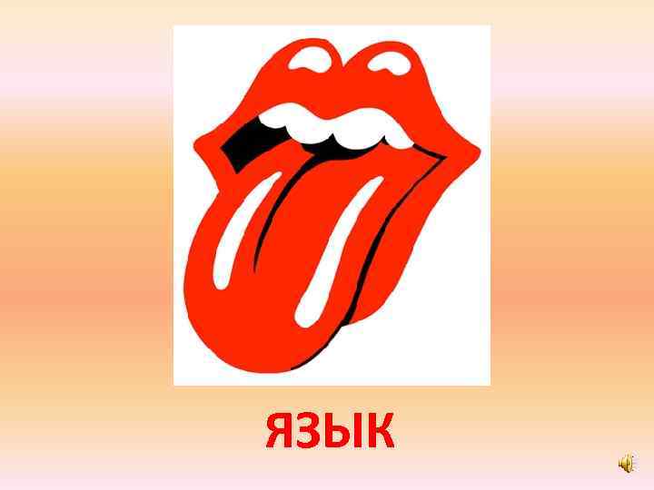 ЯЗЫК 