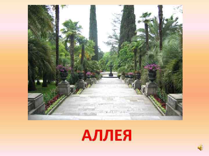 АЛЛЕЯ 