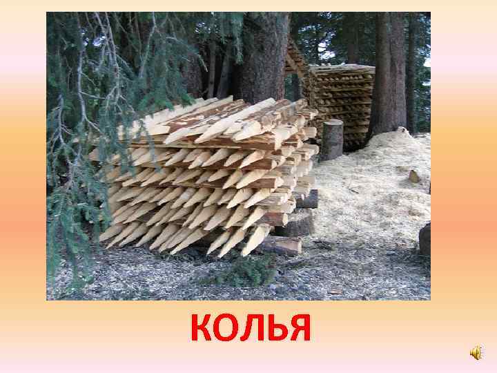 КОЛЬЯ 