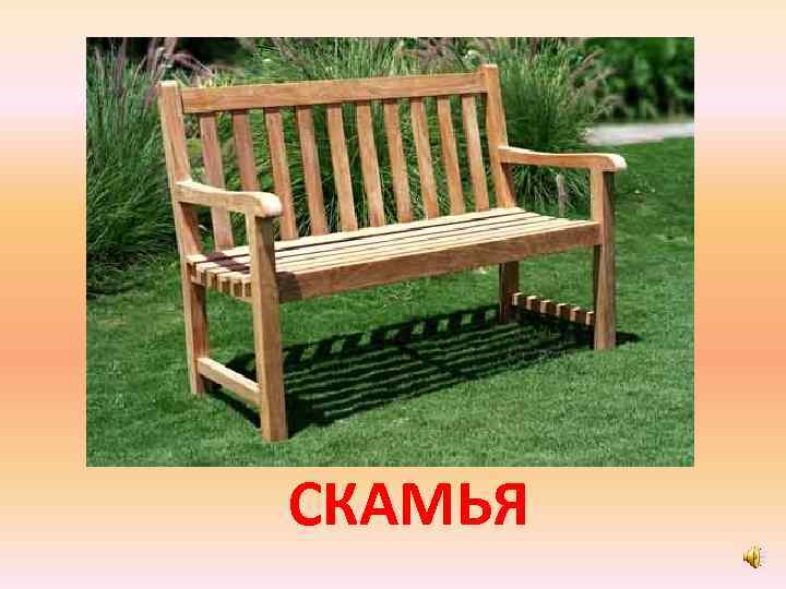 СКАМЬЯ 