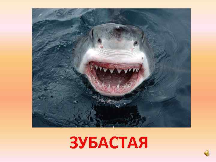 ЗУБАСТАЯ 