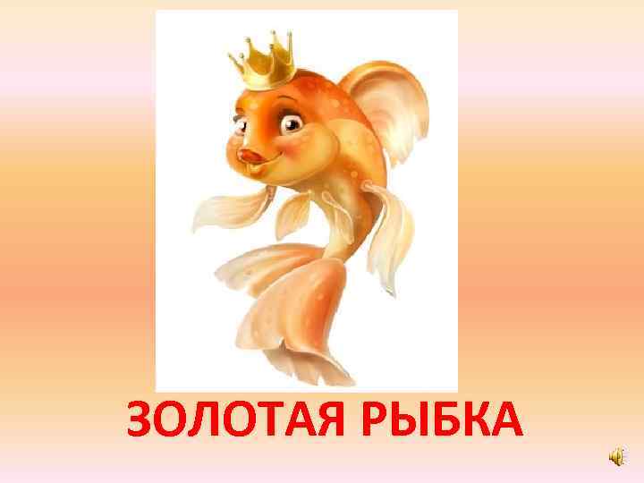 ЗОЛОТАЯ РЫБКА 