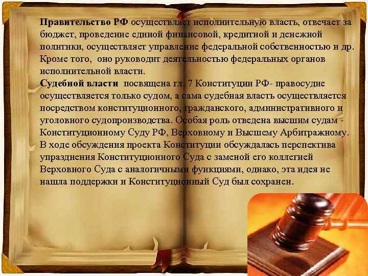 Правительство РФ осуществляет исполнительную власть, отвечает за бюджет, проведение единой финансовой, кредитной и денежной
