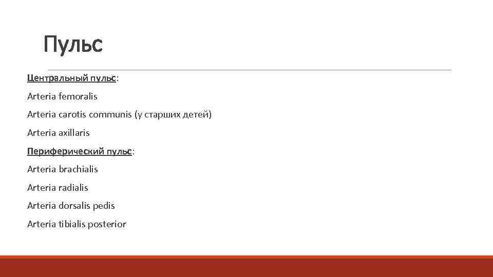  Пульс  Центральный пульс:  Arteria femoralis  Arteria carotis communis (у старших