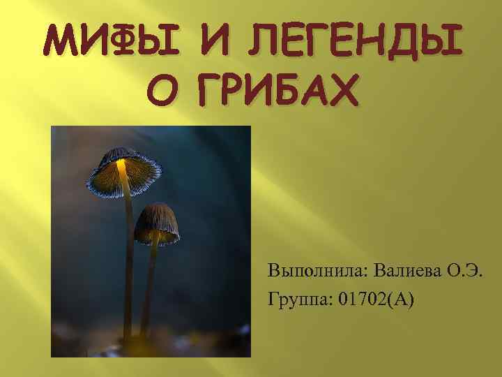 МИФЫ  И ЛЕГЕНДЫ  О  ГРИБАХ   Выполнила: Валиева О. Э.