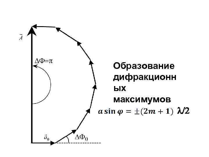 Образование дифракционн ых максимумов   /2 