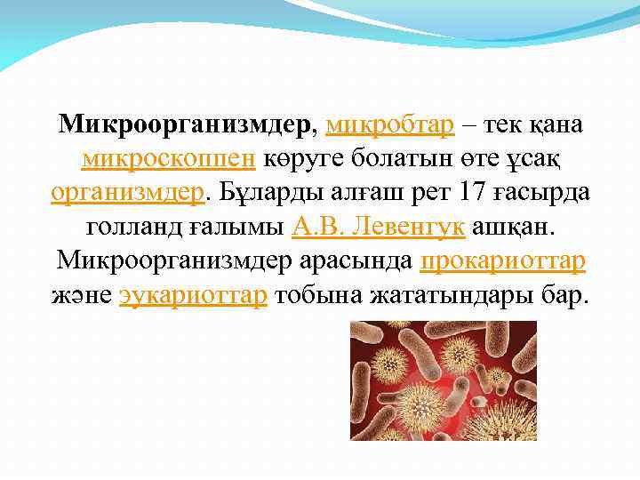  Микроорганизмдер, микробтар – тек қана  микроскоппен көруге болатын өте ұсақ организмдер. Бұларды