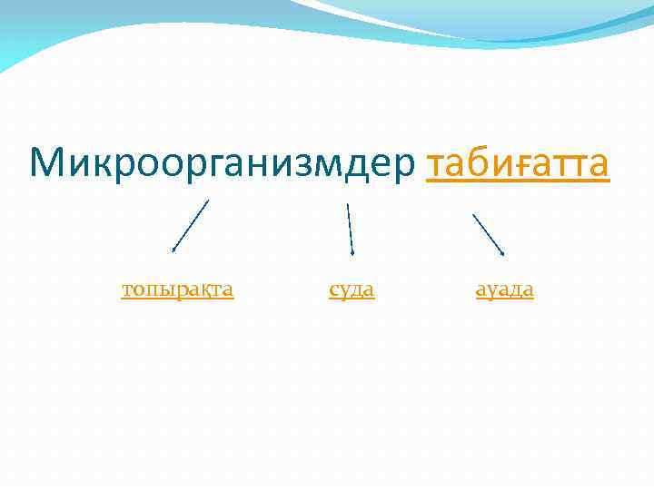 Микроорганизмдер табиғатта топырақта    суда   ауада 