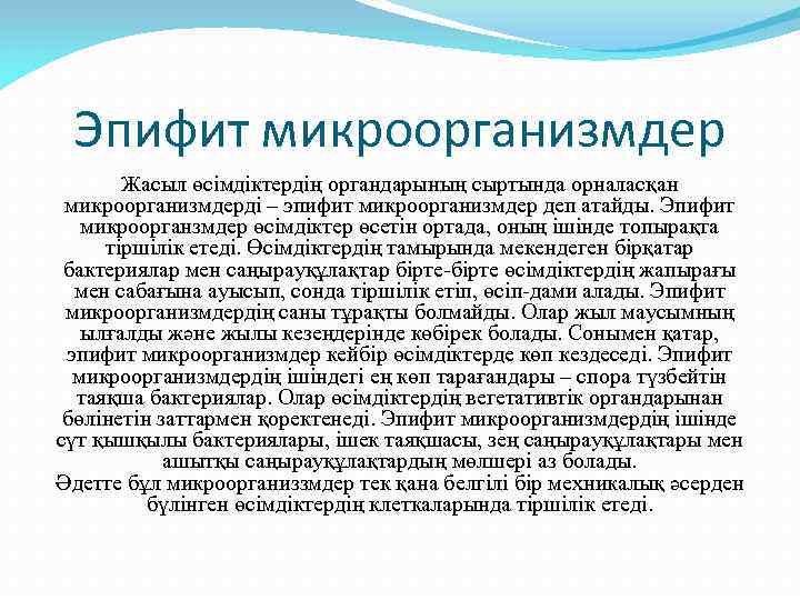  Эпифит микроорганизмдер  Жасыл өсімдіктердің органдарының сыртында орналасқан микроорганизмдерді – эпифит микроорганизмдер деп
