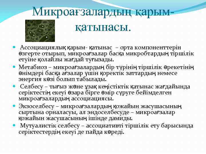  Микроағзалардың қарым-   қатынасы. Ассоциациялық қарым- қатынас – орта компоненттерін  өзгерте