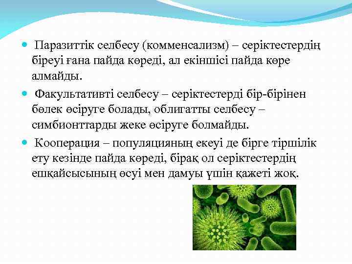  Паразиттік селбесу (комменсализм) – серіктестердің  біреуі ғана пайда көреді, ал екіншісі пайда