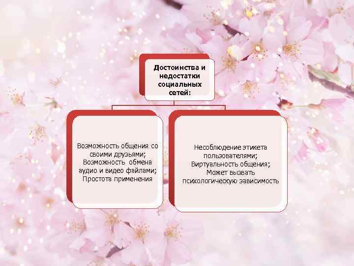     Достоинства и     недостатки   