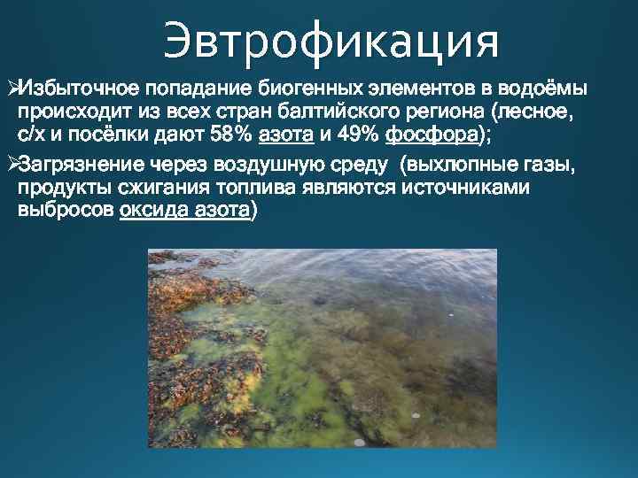 На рисунке показано что в процессе эвтрофикации в водоеме может произойти