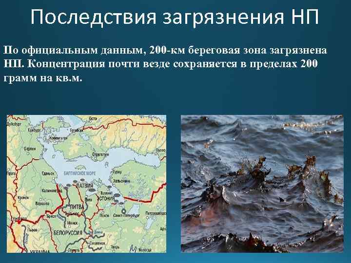   Последствия загрязнения НП По официальным данным, 200 -км береговая зона загрязнена НП.