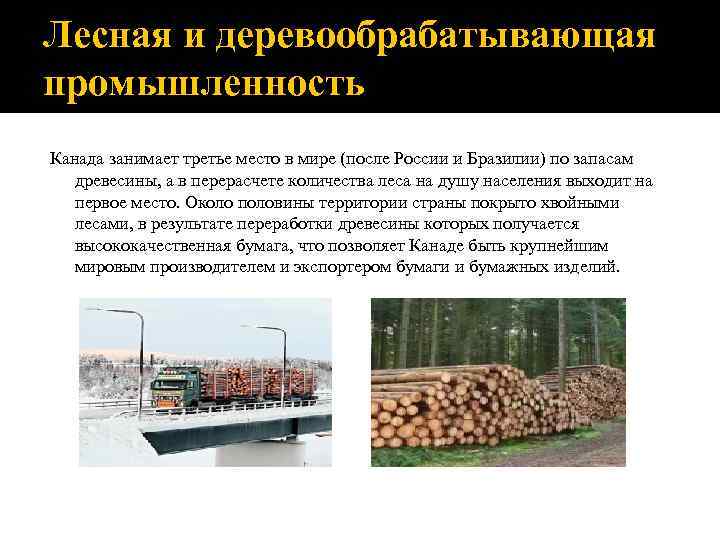 Лесная и деревообрабатывающая промышленность Канада занимает третье место в мире (после России и Бразилии)