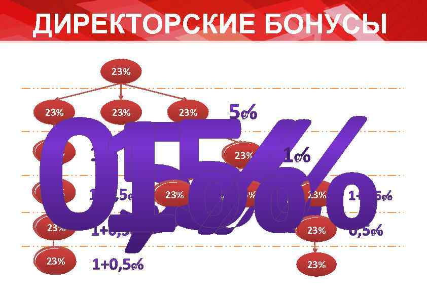 ДИРЕКТОРСКИЕ БОНУСЫ  23% 23% 23%     23% 23%  