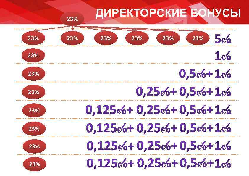  23%   ДИРЕКТОРСКИЕ БОНУСЫ 23%  23% 23% 23% 